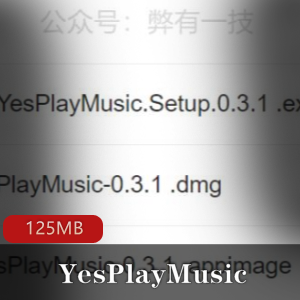 （YesPlayMusic）安卓版黑科技音乐软件